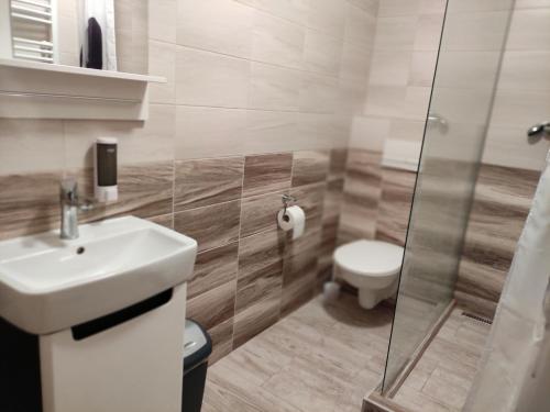 ein Bad mit einem Waschbecken und einem WC in der Unterkunft Penzion u Vinice in Sedlec