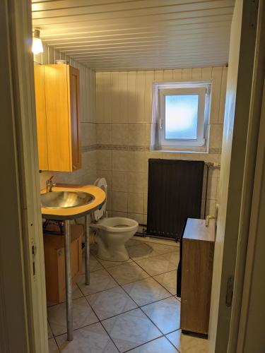 baño con aseo y lavabo y ventana en Le Petit Moulin, en Fouday