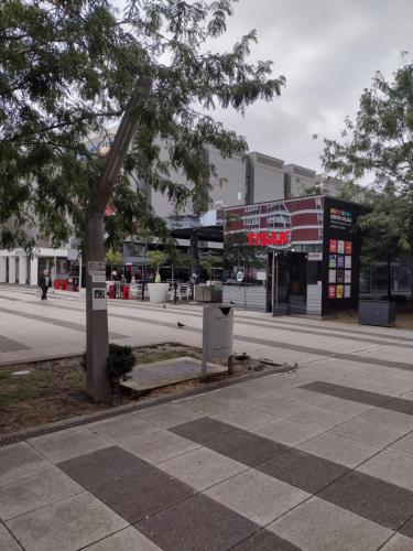 a tree in the middle of a city street at Apartman ZITA in Osijek