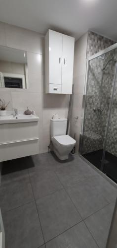 La salle de bains est pourvue de toilettes, d'un lavabo et d'une douche. dans l'établissement Apartamento playa San Lorenzo, à Gijón