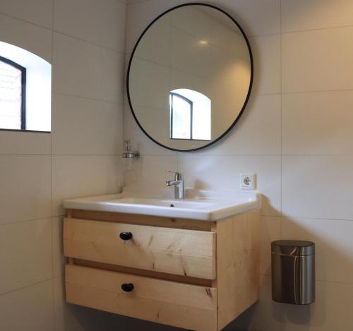 a bathroom with a sink and a mirror at Doezumertocht in Doezum