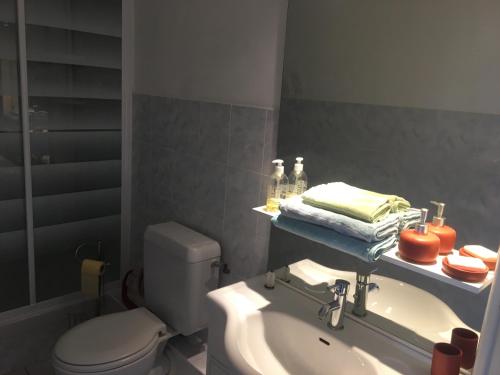 une salle de bain avec des toilettes blanches et un lavabo dans l'établissement Studio cabine 3 couchages près des pistes, à Orcières