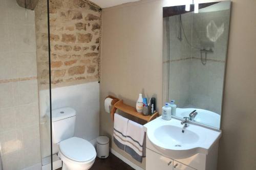 un bagno con lavandino, WC e doccia di La Maison Glycine a La Villedieu