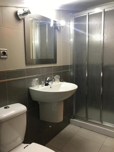 a bathroom with a toilet and a sink and a shower at Residencial Santamaría in Sancibrián