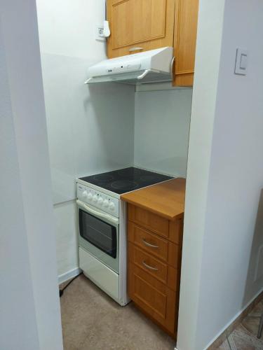 Kuchyň nebo kuchyňský kout v ubytování Apartman Sladja