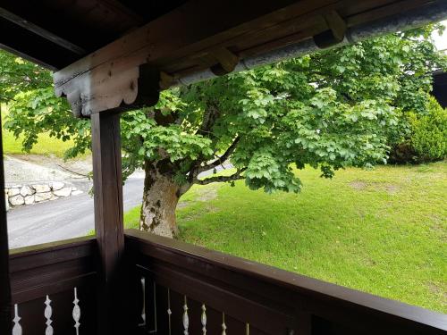 Zahrada ubytování Appartement Mühlebnerhof