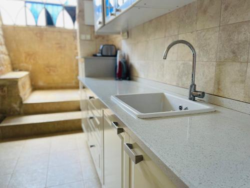 una encimera de cocina con fregadero en una habitación en Michael Zimmer, en Safed