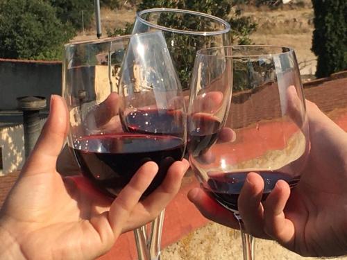 two people holding up two glasses of red wine at Castillo de Bulbuente de Luis Zueco in Bulbuente