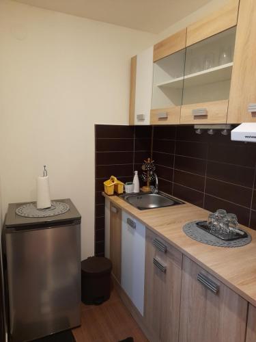 eine Küche mit einer Spüle und einer Arbeitsplatte in der Unterkunft Casa Ioana in Haţeg
