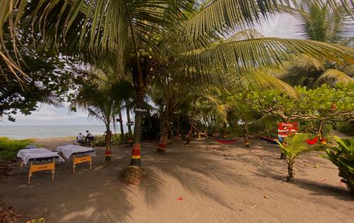 a beach with tables and chairs and palm trees at Hotel El Icaco Tortuguero in Tortuguero