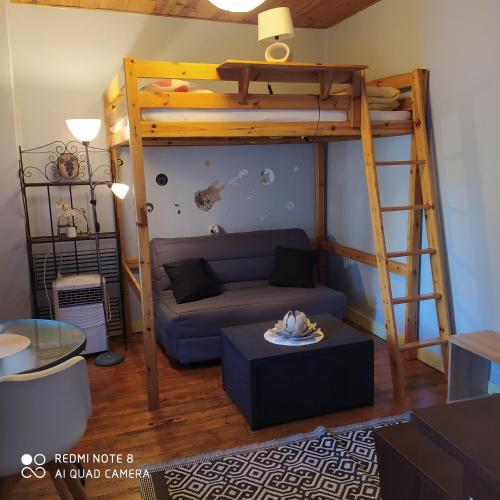 un salon avec un lit superposé et un canapé dans l'établissement Studio sympas à Saintes, à Saintes