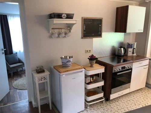 een kleine keuken met een fornuis en een koelkast bij Ferienwohnung Matilde in Bad Grund