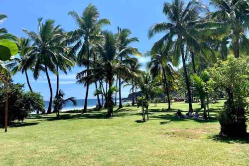 a park with palm trees and people sitting on the grass at Maison vue mer chaleureuse et confortable in Petite Île