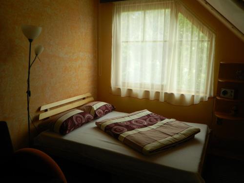 a small bedroom with a bed with a window at Brīvdienu māja Pie sievasmātes in Cesvaine