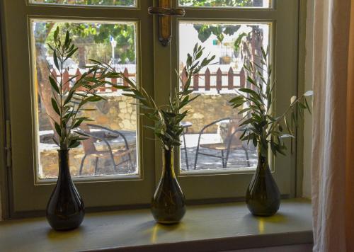 three vases sitting on a window sill with flowers at Komfort Stone House in Antimácheia
