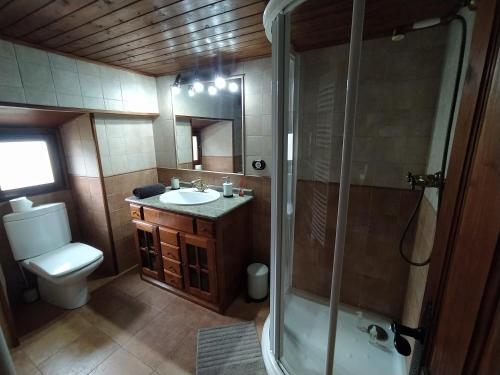 y baño con aseo, lavabo y ducha. en El Apartamentin - en el corazón del Parque Natural de Redes en Ríoseco