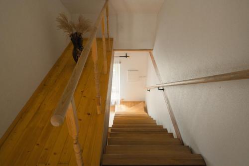 a staircase in a house with a plant on it at Laurentroom Townhouse in Ukmergė