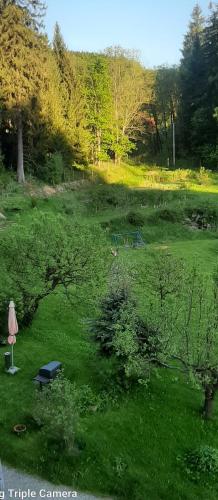 Pod Modrzewiem Agroturystyczne mieszkania turystyczne