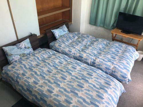 1 Schlafzimmer mit 2 Betten und einem TV in der Unterkunft ジンジャー in Miyako-jima