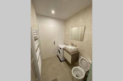 ein Bad mit einem WC und einem Waschbecken in der Unterkunft Studio des Arts - Netflix et wifi in Thonon-les-Bains