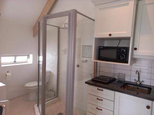 a bathroom with a shower and a toilet and a sink at Serenity in Velddrif