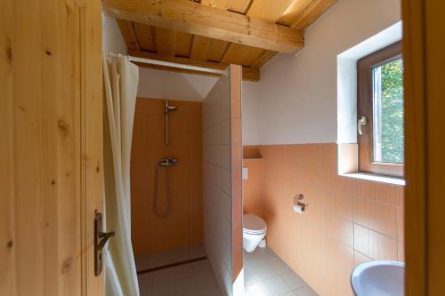 uma casa de banho com um chuveiro e um WC. em Farma Javor em Horná Lehota