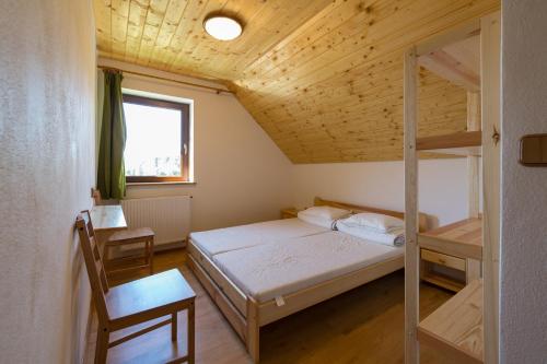 a bedroom with a bunk bed and a ladder at Farma Javor in Horná Lehota