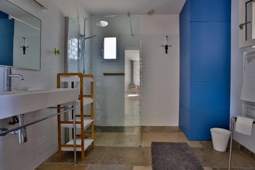 La salle de bains est pourvue d'un lavabo et d'une douche aux murs bleus. dans l'établissement Villa Brigitte, à La Couarde-sur-Mer