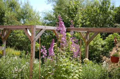 a garden with purple flowers and a wooden pergola at Engbjerg BnB in Hirtshals