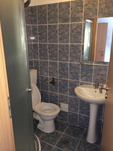 a bathroom with a toilet and a sink at Pensiunea Simina in Caransebeş