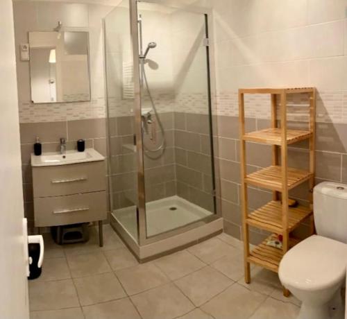 a bathroom with a shower and a toilet and a sink at Le Courancon in Saint-Nectaire