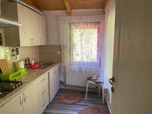 Η κουζίνα ή μικρή κουζίνα στο Casa Maia Dambovicioara