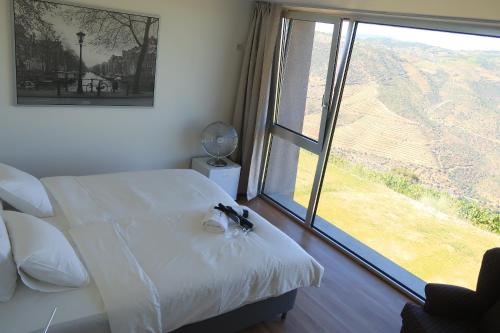 Gallery image of Stay at the Winemaker in Ervedosa do Douro
