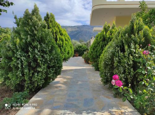 um passadiço com árvores verdes e flores em ziogas apartments em Plataria