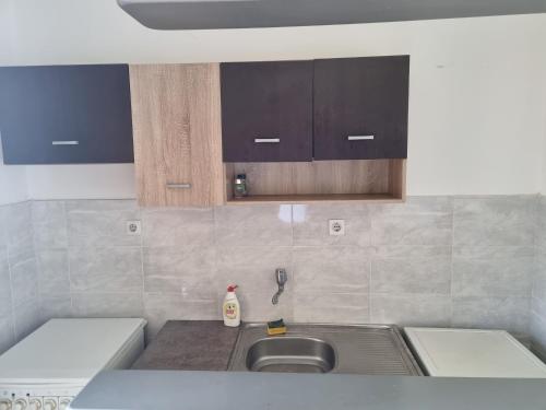 a kitchen with a sink and a counter top at Nakov Apartment next to bus station in Skopje