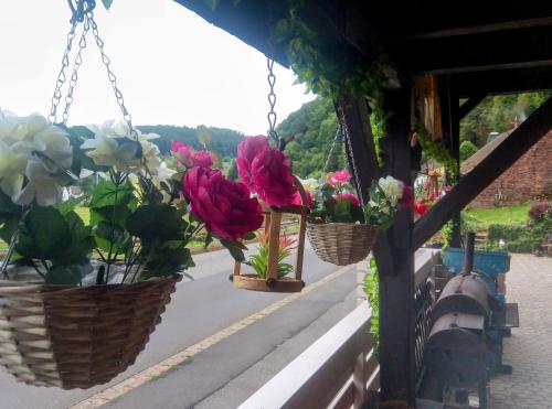 a group of flowers in baskets on a ledge at die rote Ente in Mürlenbach