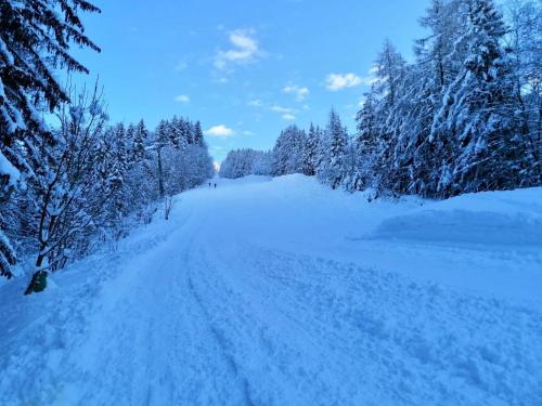a snow covered road with trees on either side at Appartements Käthe in Faak am See