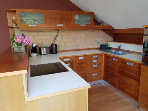 a kitchen with wooden cabinets and a white counter top at Fado Apartments Lendava in Lendava