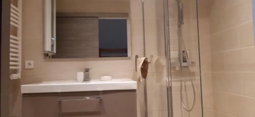une salle de bain avec un lavabo et une douche dans l'établissement Petit coin de paradis au soleil près de la mer, à Saint-Cyr-sur-Mer