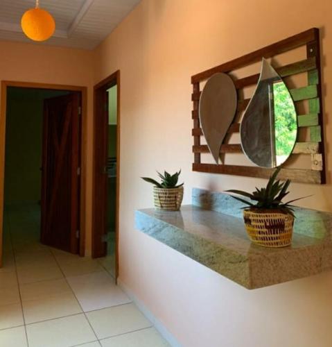 a room with two plants on a counter with a mirror at Agualinda Hotel in Alter do Chao