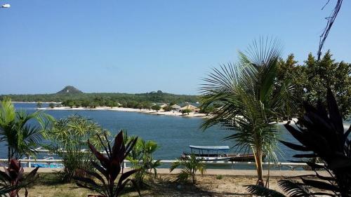 a view of a beach with palm trees and a body of water at Agualinda Hotel in Alter do Chao