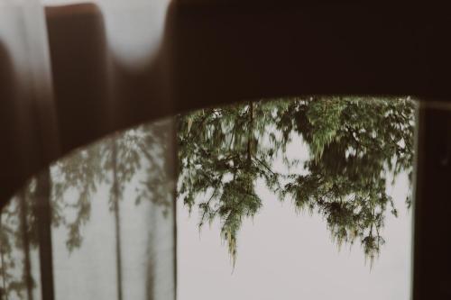 a reflection of a tree in a window at Bajka Hotel & Resort in Grodziec