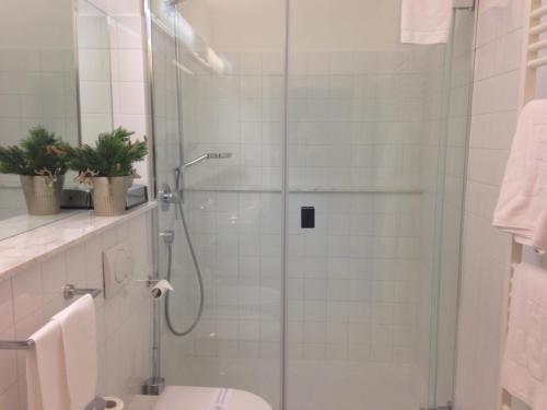 a bathroom with a shower and a toilet at Hotel Tre Cime Sesto - Sexten in Sesto