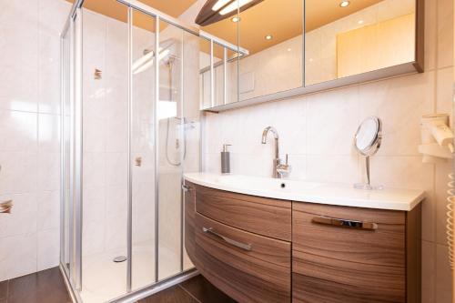 uma casa de banho com um lavatório e um chuveiro em Denggalahof em Münster
