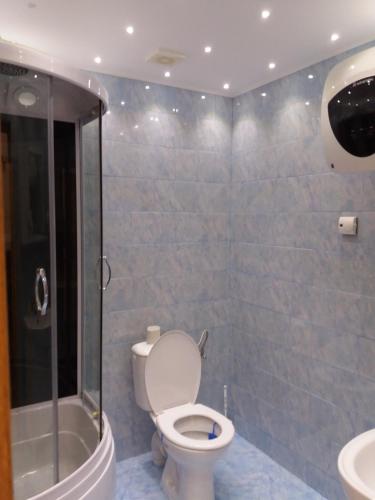 a bathroom with a toilet and a shower and a sink at DOBRA RAKIJA - transit sleep in Dobra