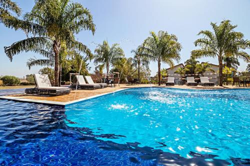 a swimming pool with chairs and palm trees at Pousada Pé na Terra in Brotas