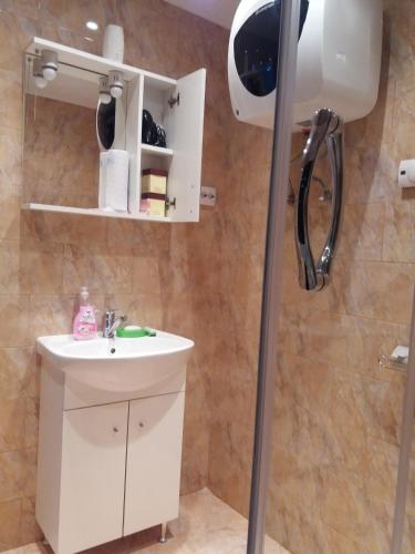 a shower in a bathroom with a white sink at DOBRA RAKIJA - transit sleep in Dobra