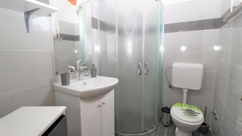 a bathroom with a shower and a sink and a toilet at Apartments Brcic in Tar