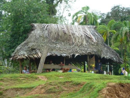a hut with a grass roof on a hill at Villa F&B in Bocas del Toro