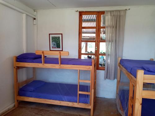 a room with two bunk beds and a window at Chacra marítima cerca del Cabo in Rincón de los Oliveras